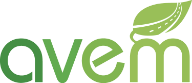 AVEM — Nationale vereniging voor de ontwikkeling van elektrische mobiliteit